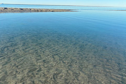 The Island Sandbar Experience - Accommodation Asia 4