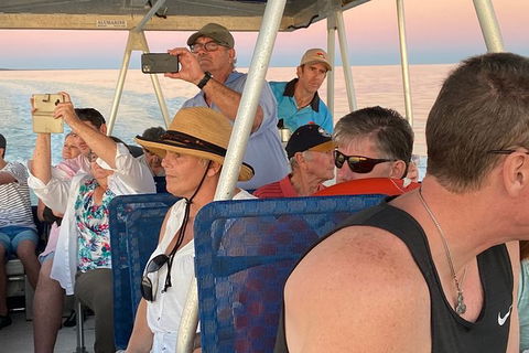 The Island Sandbar Experience - Accommodation Asia 3