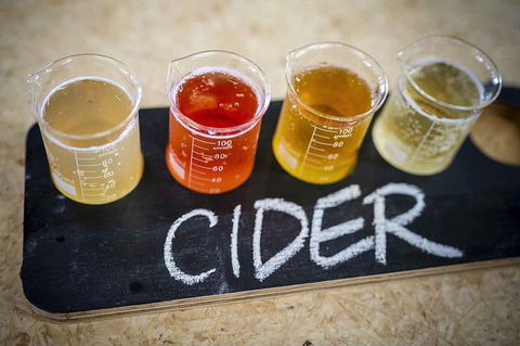 Bickley Valley Wine & Cider Tour - Premium Small Group Tour - Accommodation Guide 1