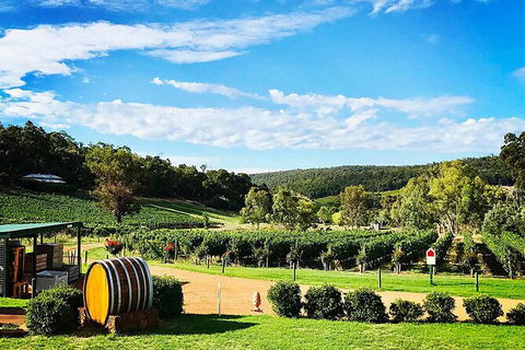 Bickley Valley Wine & Cider Tour - Premium Small Group Tour - Accommodation Guide 0