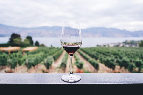 Full-Day Gourmet Wine Tour With Pick Up And Lunch - Accommodation Guide 1