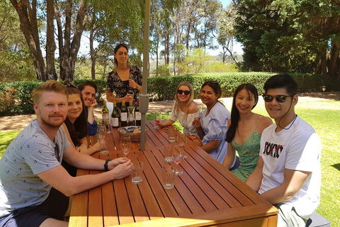 Full-Day Gourmet Wine Tour With Pick Up And Lunch - Accommodation Guide 5