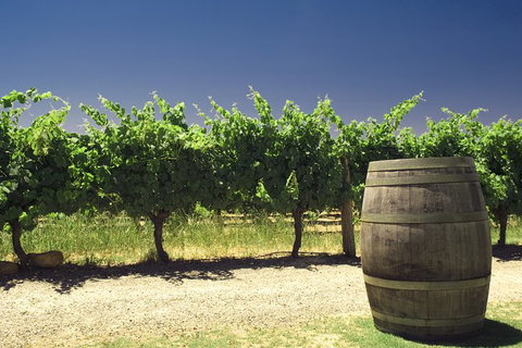 Pinnacles Desert Private Tour - Accommodation Guide 4