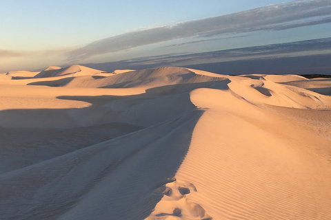 Pinnacles Desert Private Tour - Accommodation Guide 2