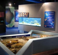 Marine and Freshwater Discovery Centre - Accommodation Asia