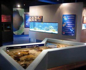 Marine And Freshwater Discovery Centre - Accommodation Asia 0