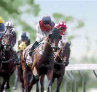 Colac Turf Club - Accommodation Asia