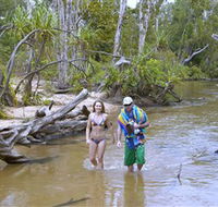 Tjuwaliyn / Douglas Hot Springs Park - Accommodation Guide