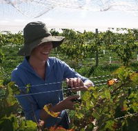Kingsdale Wines - Accommodation Asia