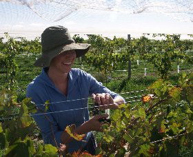 Kingsdale Wines - Accommodation Asia 0