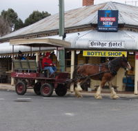 Bathurst Farm Experience - Accommodation Guide