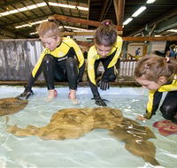 Australian Shark and Ray Centre - Accommodation Guide