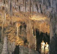 Mammoth Cave - Accommodation Guide