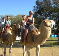 Calamunnda Camel Farm - Accommodation Asia