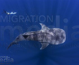Migration Media - Accommodation Asia 0