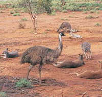 Hammond Park - Accommodation Asia