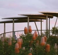Reabold Hill Summit Boardwalk Bold Park - Accommodation Guide