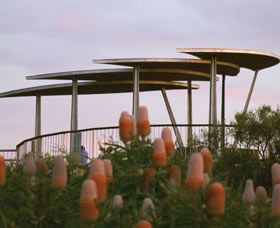 Reabold Hill Summit Boardwalk, Bold Park - Accommodation Guide 0