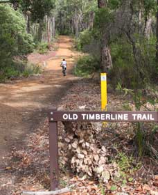 Cundinup WA Accommodation Guide