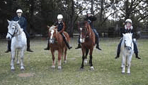 Valhalla Horse Riding - Accommodation Asia 1