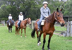Valhalla Horse Riding - Accommodation Asia 2