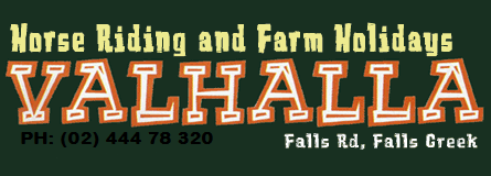 Valhalla Horse Riding - Accommodation Asia 4