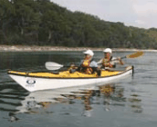 Jervis Bay Kayak & Paddlesports - Accommodation Asia 2