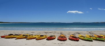 Jervis Bay Kayak & Paddlesports - Accommodation Asia 5