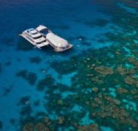 Great Adventures Reef and Green Island Cruises - Accommodation China