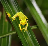 Daintree River Cruise Centre - Accommodation China