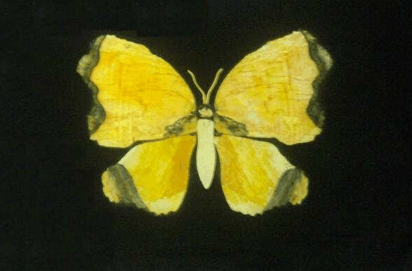 Ashworths - Accommodation Guide