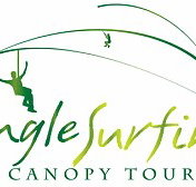 Jungle Surfing Canopy Tours and Jungle Adventures Nightwalks - Accommodation China