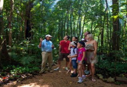 Ngadiku Dreamtime Walks - Mossman Gorge Centre - Accommodation Asia 1