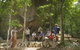 Ngadiku Dreamtime Walks - Mossman Gorge Centre - thumb 2