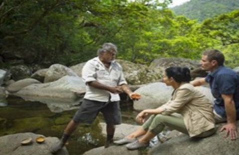 Ngadiku Dreamtime Walks - Mossman Gorge Centre - Accommodation Asia 3