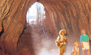 Undara Experience - Accommodation Asia 3