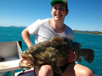 Gone Fishing By Coral Sea Fishing Charters Airlie Beach - Accommodation Guide 4