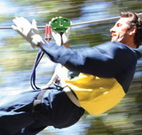 Adventure Parc - Accommodation Guide