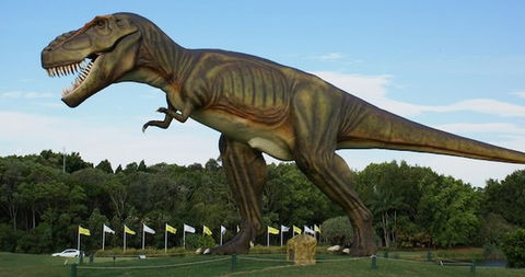 Palmersaurus Park - Accommodation Guide 1