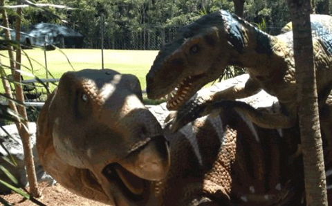 Palmersaurus Park - Accommodation Guide 4