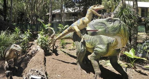 Palmersaurus Park - Accommodation Guide 5