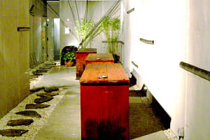 Koi - Accommodation Asia 0