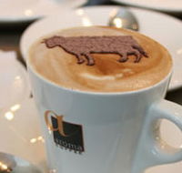 Brown Cow - Accommodation Asia