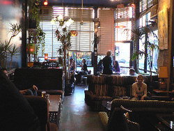 Blackcat - Accommodation Guide 1