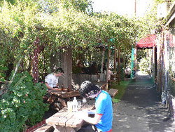 Blackcat - Accommodation Guide 3