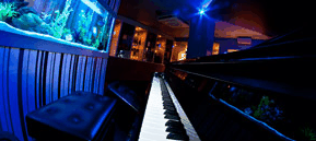 Saks Restaurant & Bar - Accommodation Guide 2