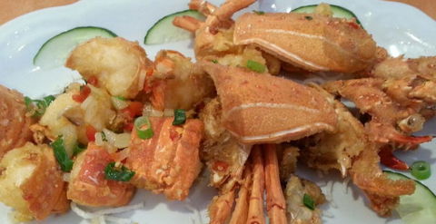 Tasty Magic Chinese Restaurant - Accommodation Guide 0