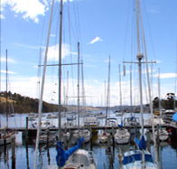 Oyster Cove Inn - Accommodation Asia