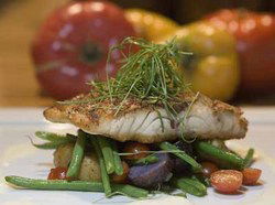 Somerton Park VIC Accommodation Guide