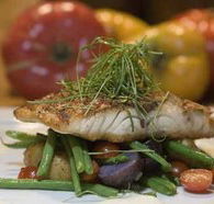 Queens Arms Hotel - Accommodation Guide